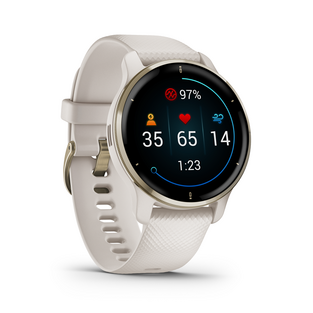 Garmin Venu 2 Plus Ivory Gold Bezel