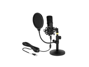 DELOCK studio microphone with pop filter & wind deflector 66300, condenser, USB