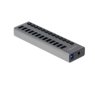 DELOCK USB hub με διακόπτες 63738, 13x USB, 5Gbps, LED, γκρι