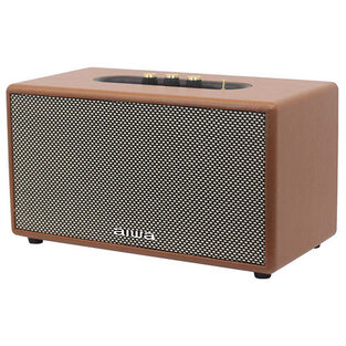 AIWA DIVINER ACE BT SPEAKER WITH RC RMS 60W BROWN  RSX60/BR