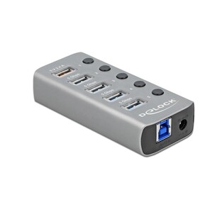 DELOCK USB hub με διακόπτες 63262, 5x USB, 5Gbps, 2.4A, γκρι