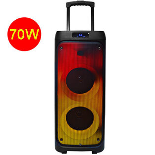 MANTA PARTY SPEAKER 70W FLAME  SPK5220