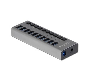 DELOCK USB hub με διακόπτες 63670, 10x USB, 5Gbps, LED, γκρι